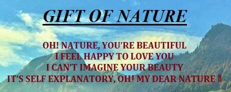 Gift Of Nature