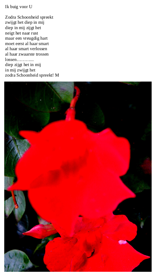 Ik Buig Voor U