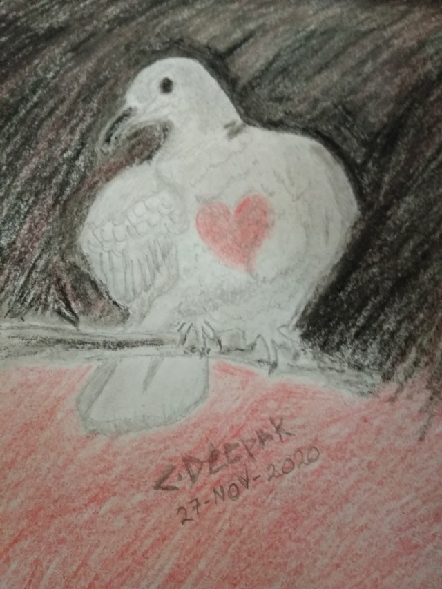 The Dove Of Love