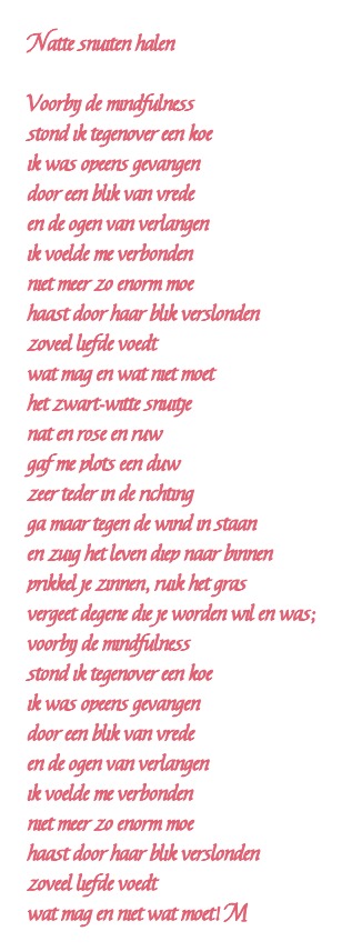 Natte Snuiten Halen