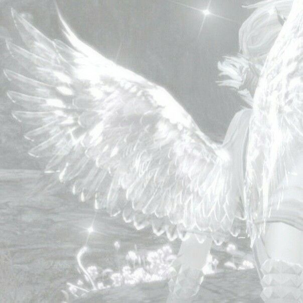 Her Halo