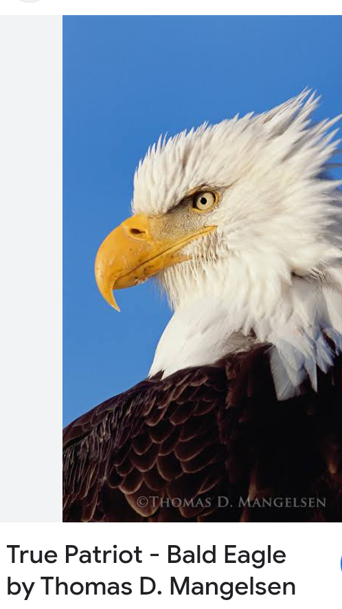 Eulogy For The Blade Blake Eagle