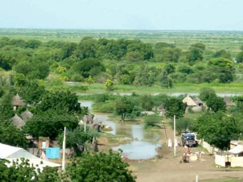 Rooted In Grain And Grace