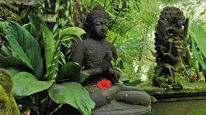 A Buddha Garden
