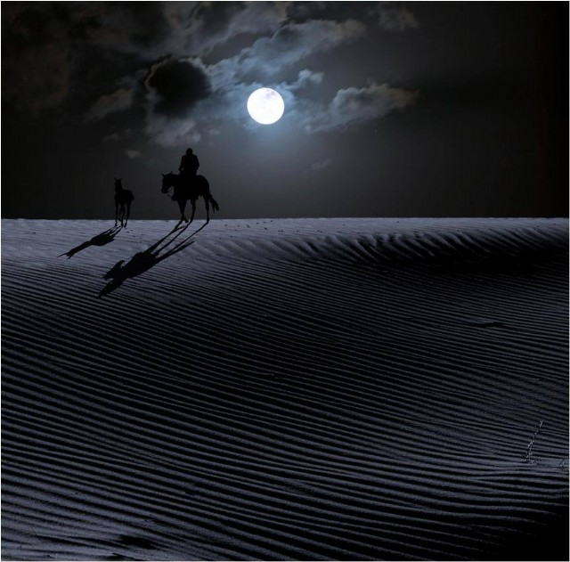 Moonlight In The Desert