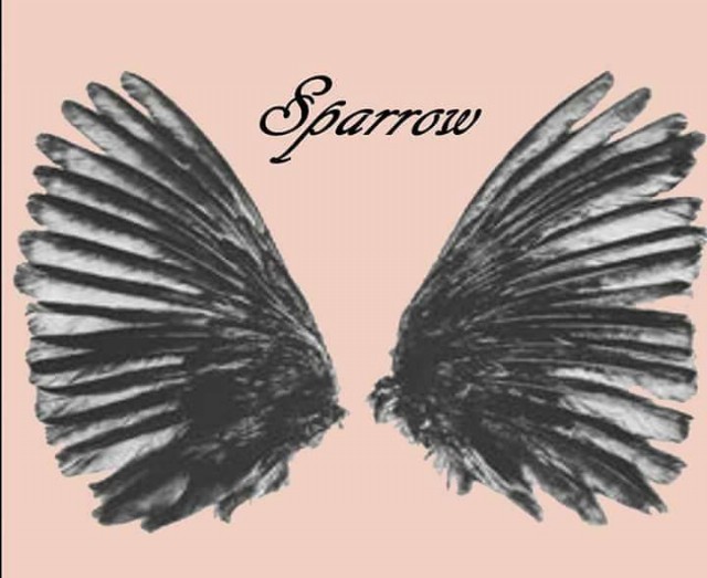 Dark Sparrow