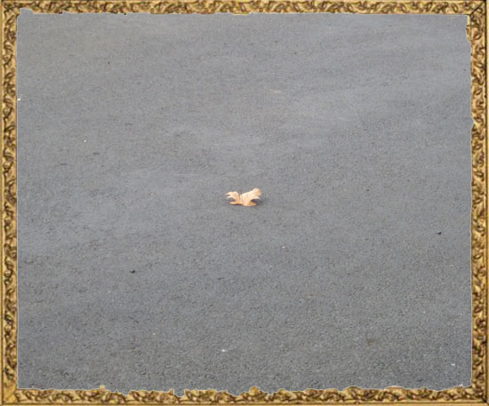 Lonely Little Leaf