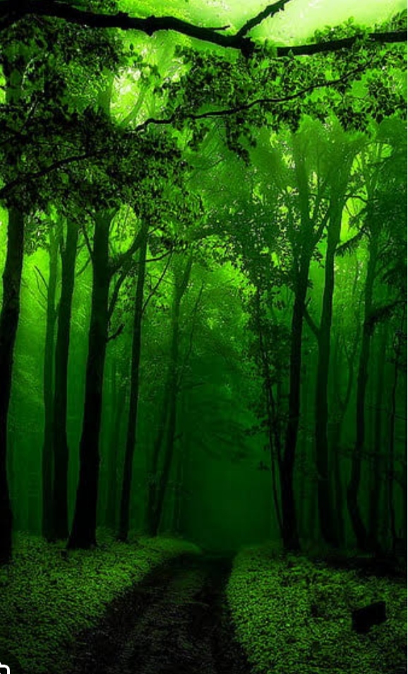 Inside A Green Fen.