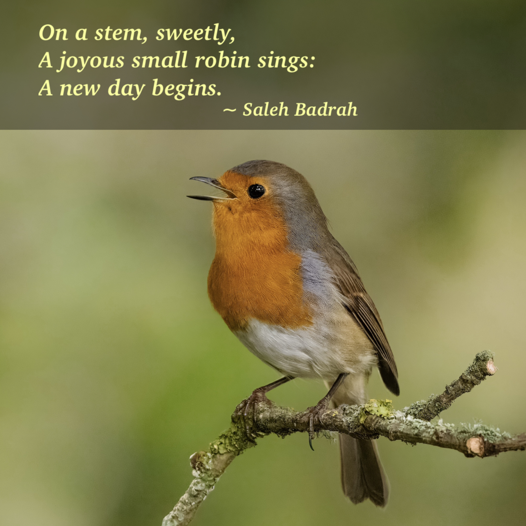 A New Day Begins