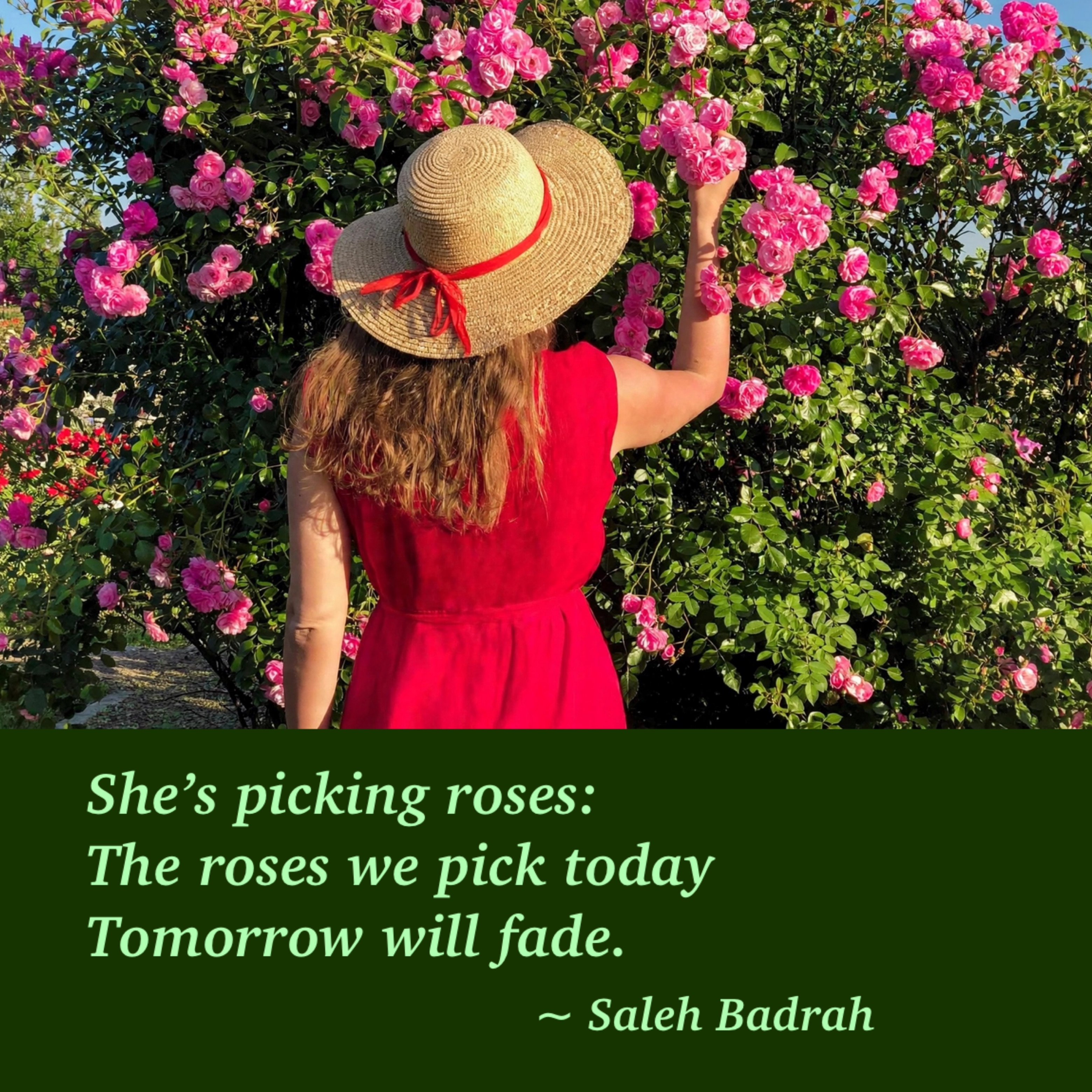 She's Picking Roses
