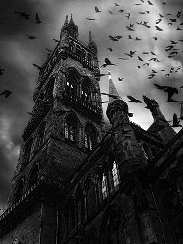 I Reckon I'Ll Grow Old Someday