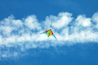 Fly The Kite