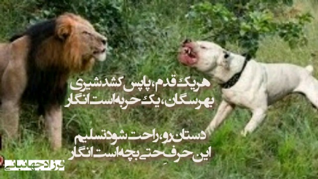 برجا بدون میم (Persian)