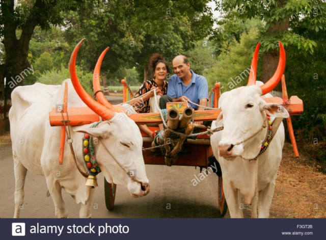 ગબડાવો ગાડું...Gabdaavo