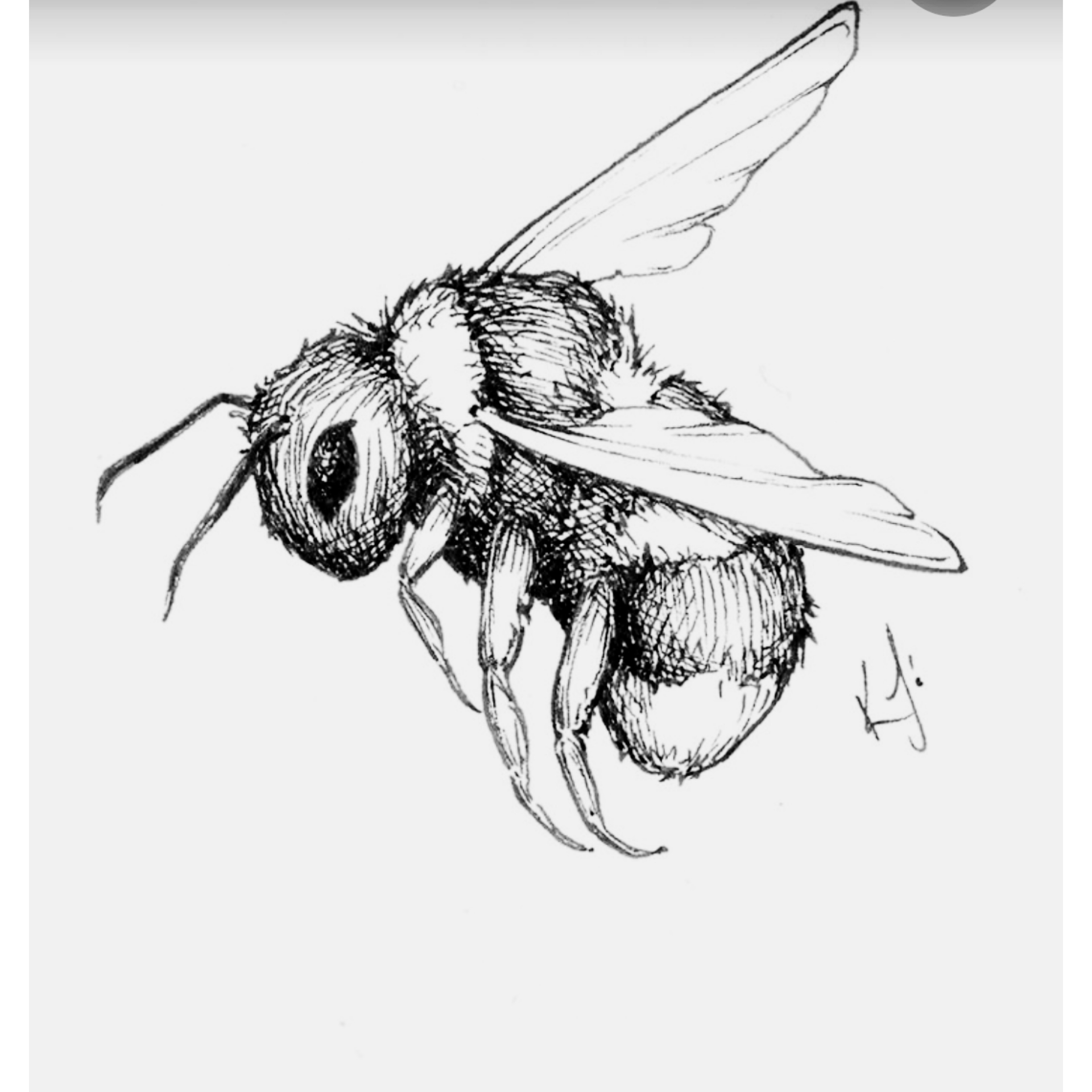 Honey & Blood