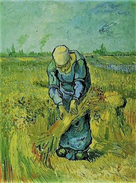 Vincent Van Gogh 54 -  Vincent! Don't You Ever Get Them Right?