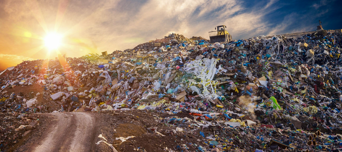 The Ruins Of Culture: (August,2023)