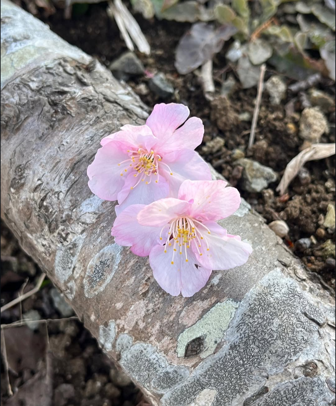 Holding Hands In The Dark