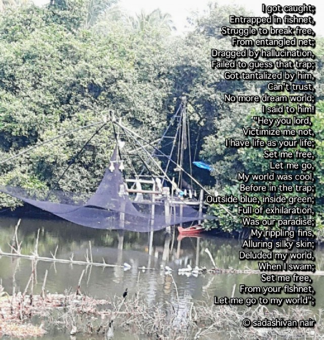 Set Me Free From Your Fishnet