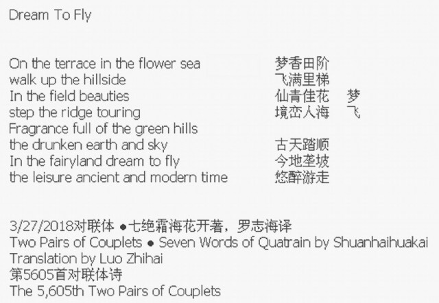 Dream To Fly