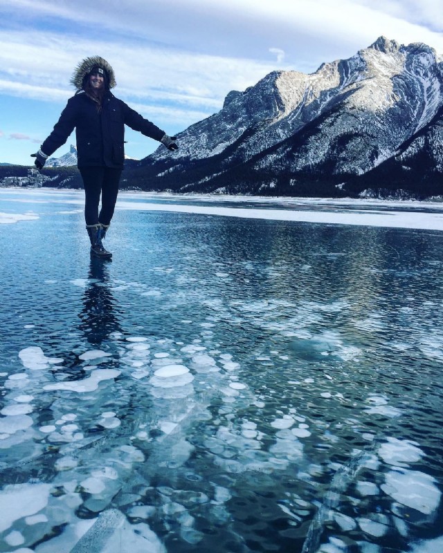 Elation Was Mine, The Promised Life