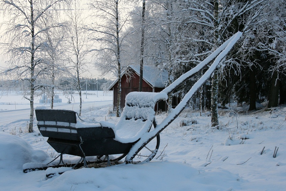 Winter