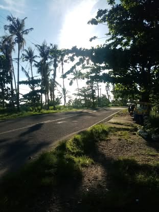 The Paths Almost Taken