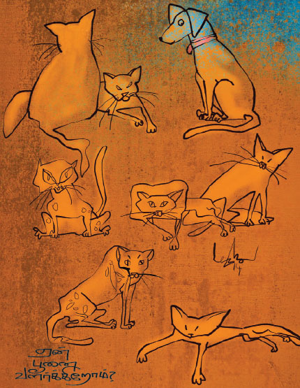 Why Do We Rear The Cat?