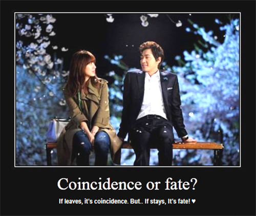Coincidence Or Fate Love