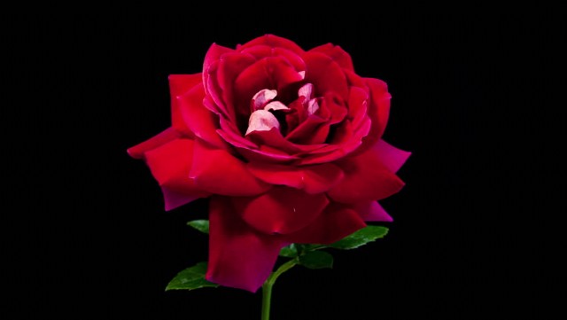 পৃথিবী বদলাতে হলে (Prithibi Bodlate Hole)