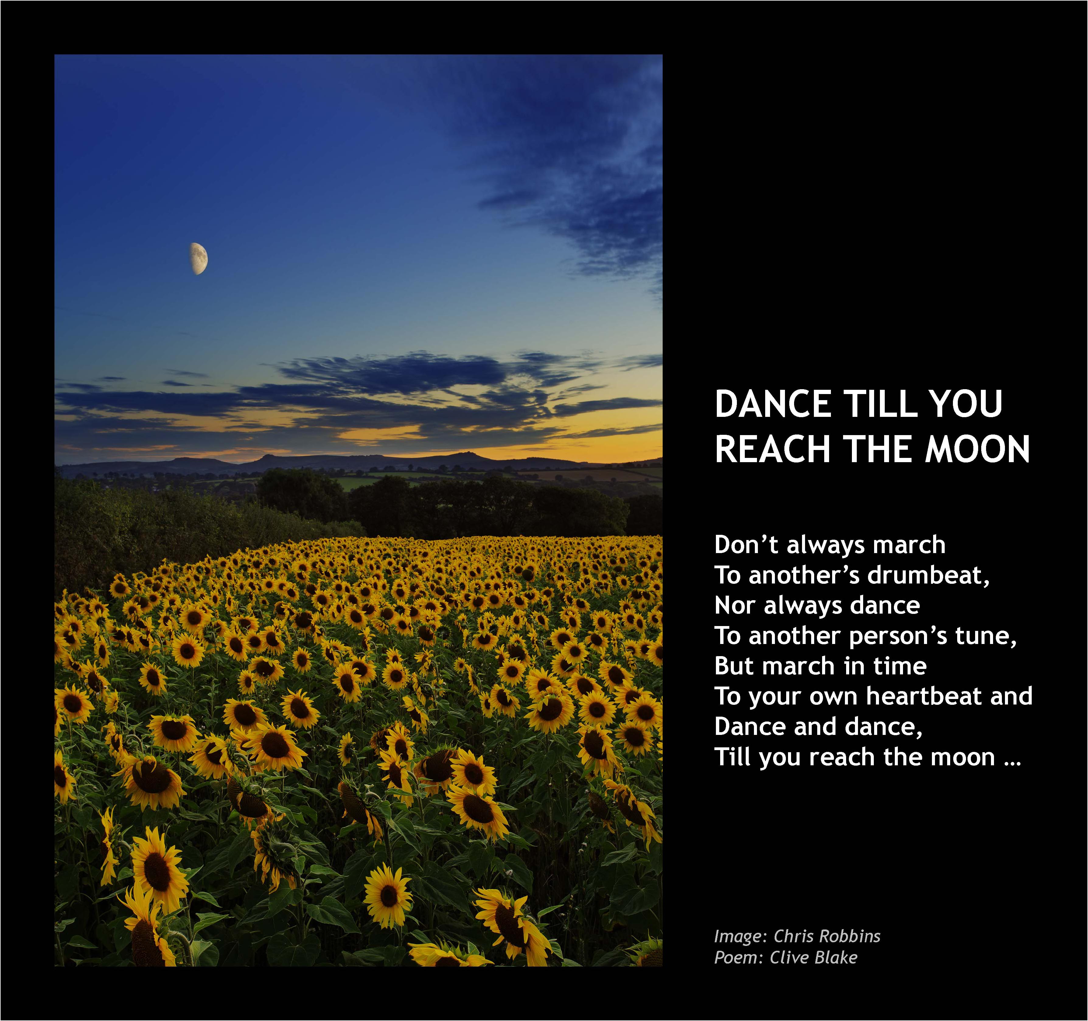 Dance Till You Reach The Moon