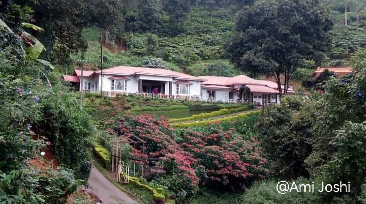 The Grid Of Memories