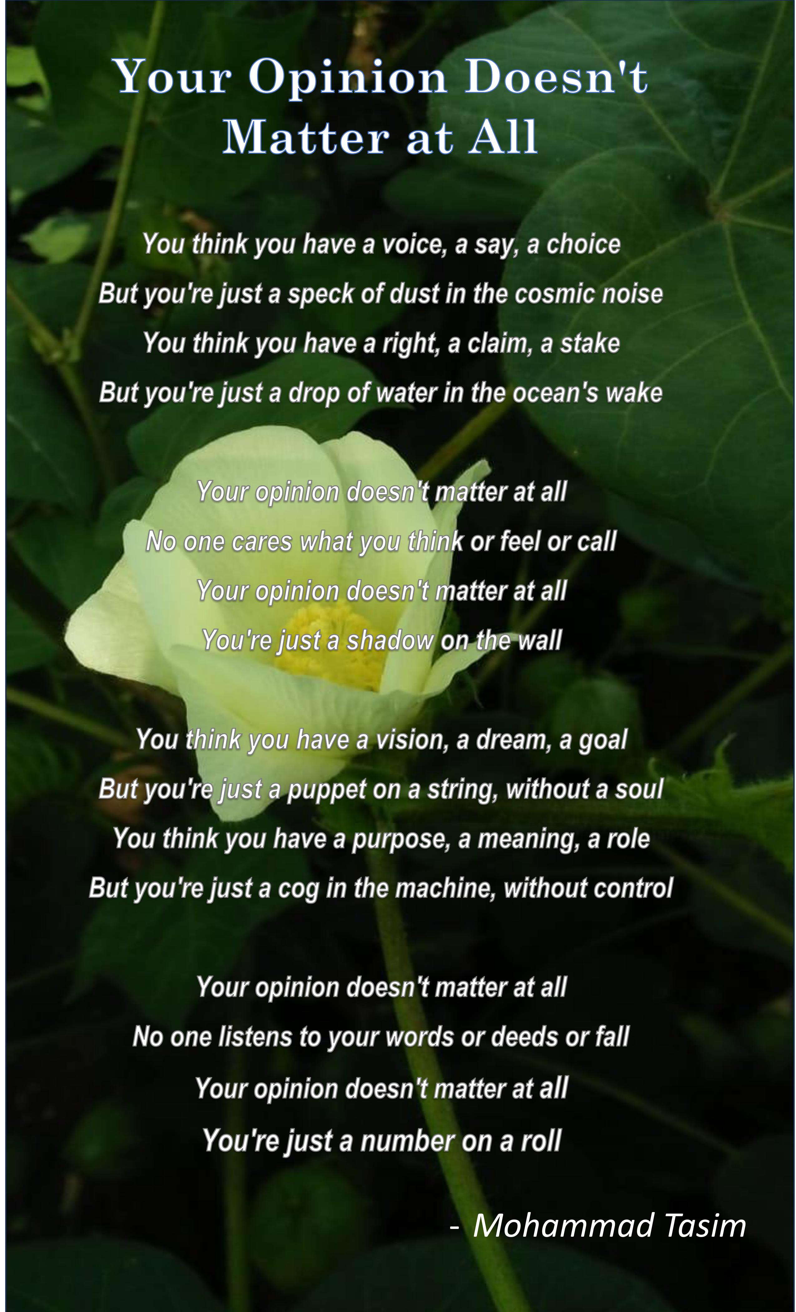 Your Opinion Doesn't Matter At All