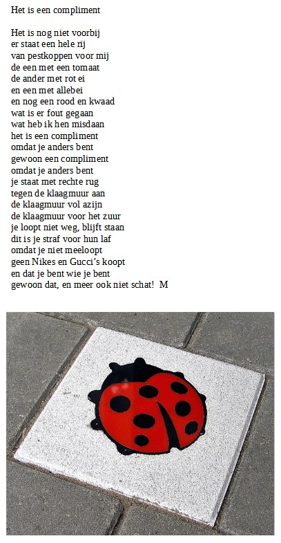 Het Is Een Compliment