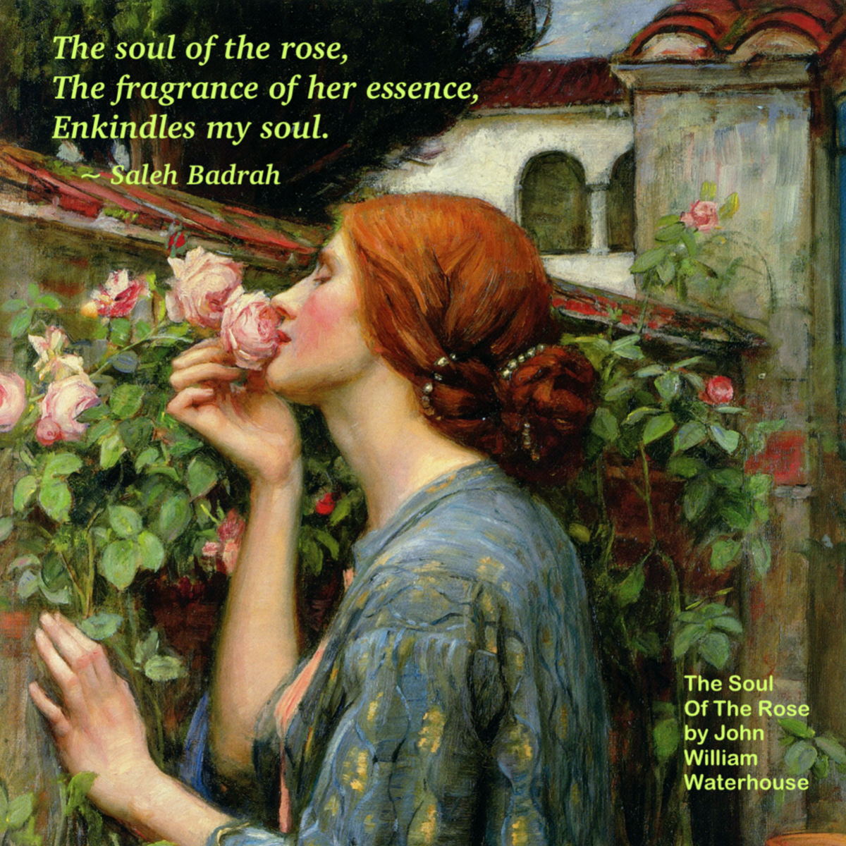 The Soul Of The Rose