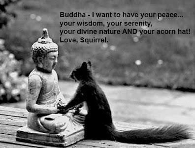Buddha And The Squirrel