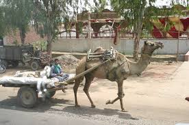 જિંદગી તો એજ છે Jindgi To Ej Chhe