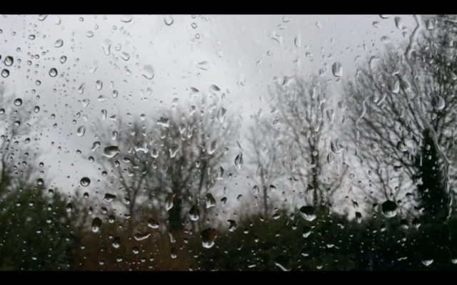 January Rain