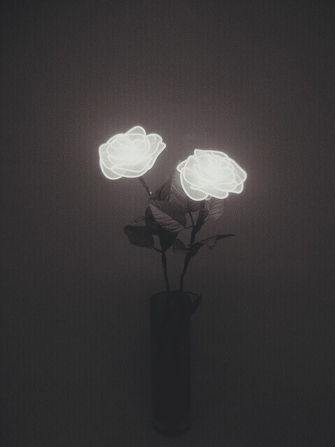 Hushed Thoughts