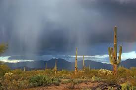 Rain In Desert