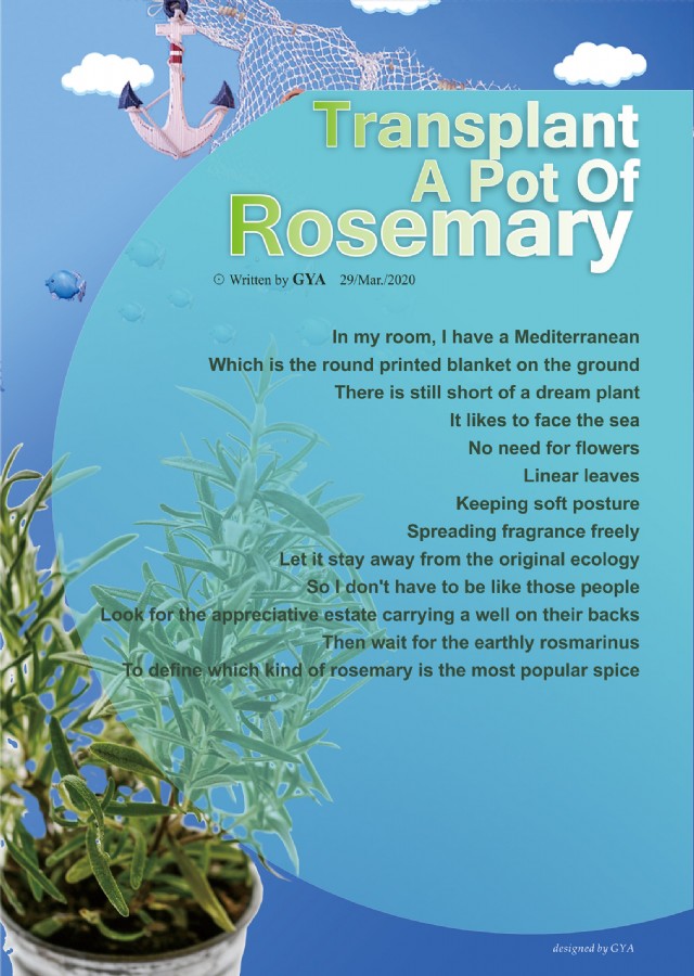 Transplant A Pot Of Rosemary