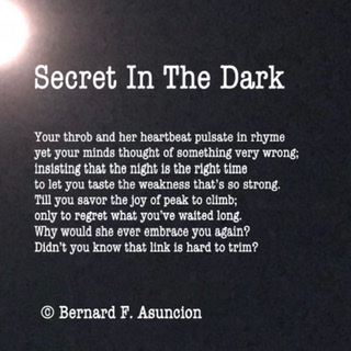 Secret In The Dark