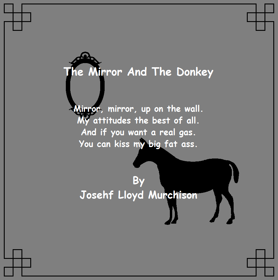 The Mirror And The Donkey
