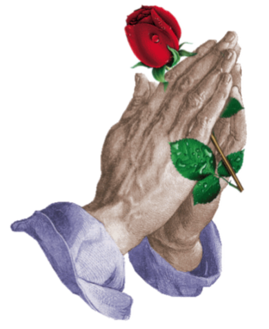 Roses Are Red (Biblical Version)