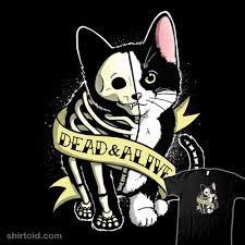 Entanglement (Verschränkung)