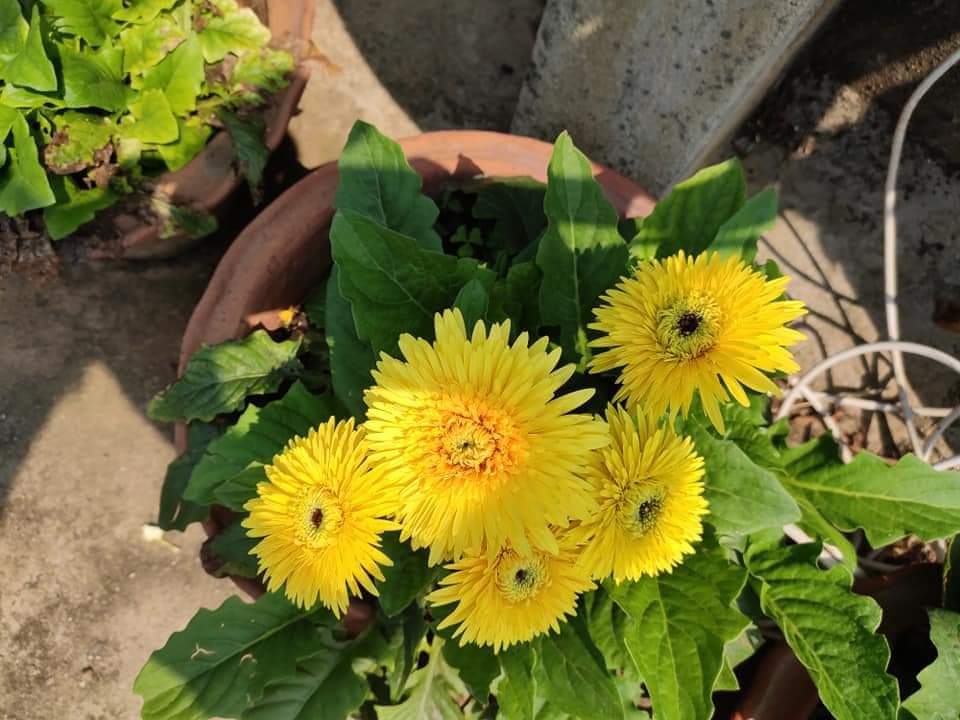 Mother Nature