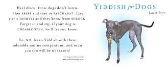 Farchadat Alte Kaker Here At Highland Manor Apartments