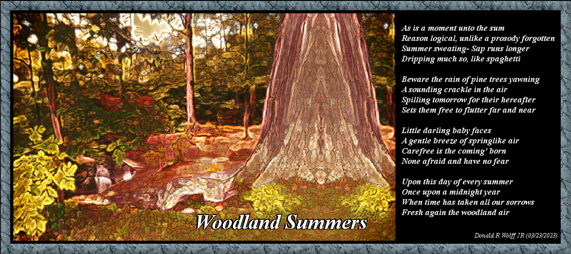 Woodland Summers