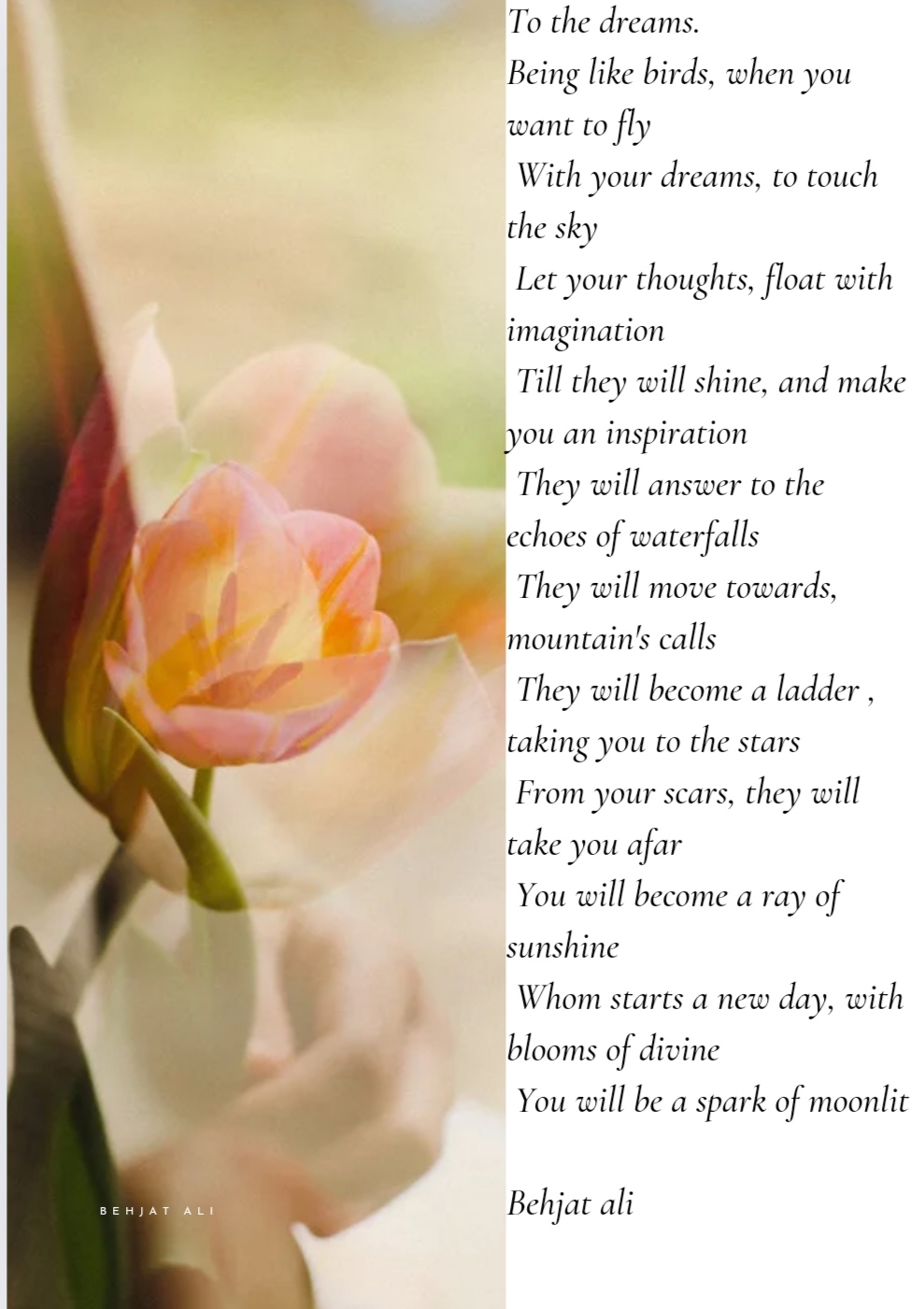 To The Dreams.