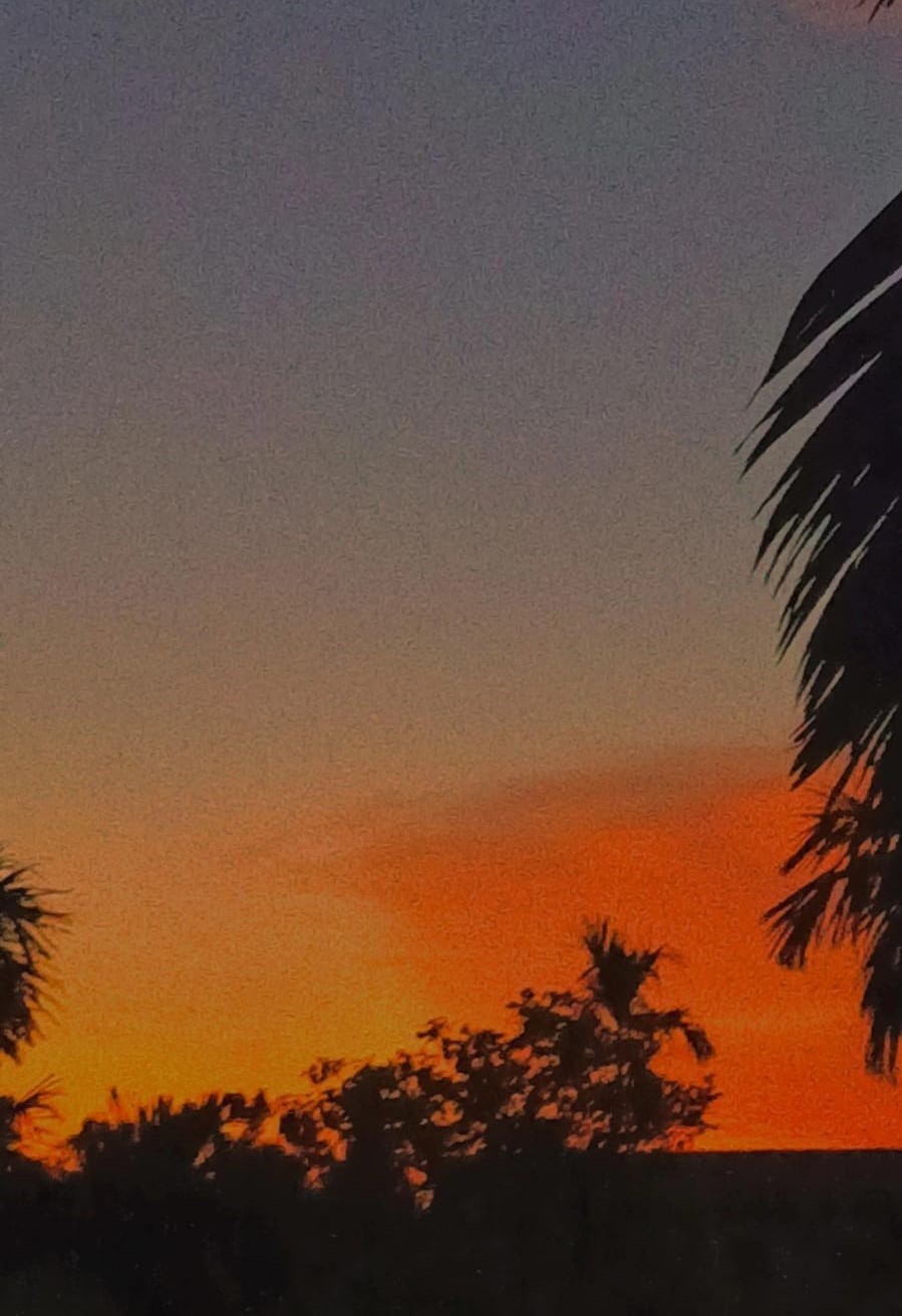 The Eyes Are Not Here